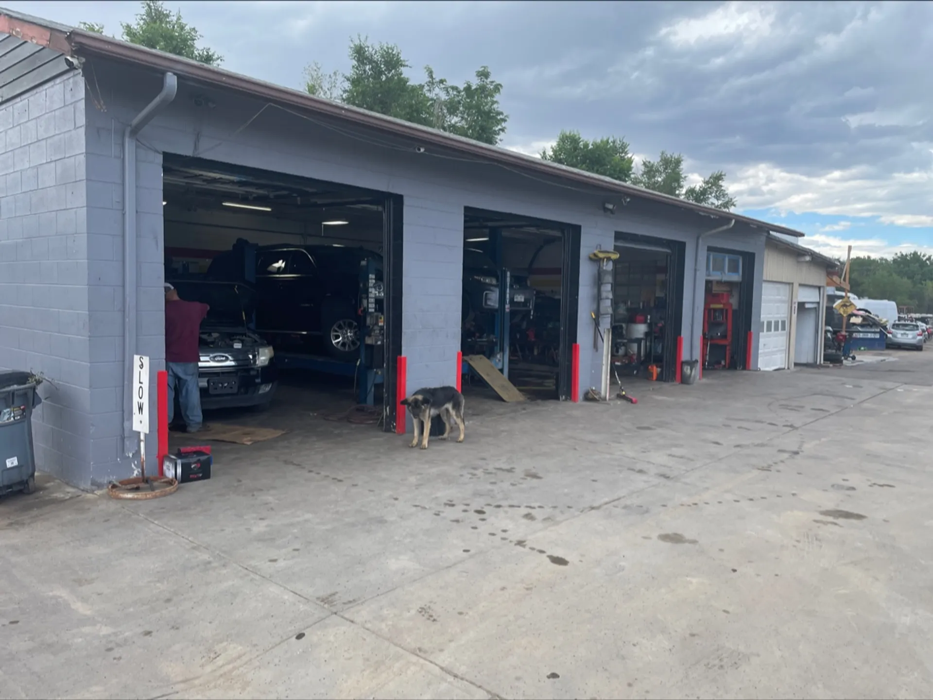 The shop's open service bays: a gray cinder-block building with red bollards, cars up on lifts, and the shop dog out front