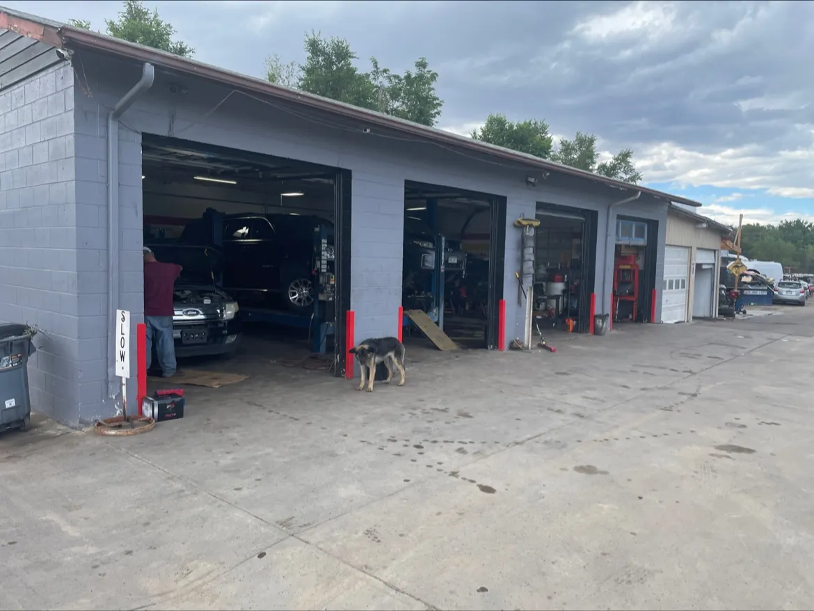 The shop's open service bays with cars up on lifts and the shop dog out front